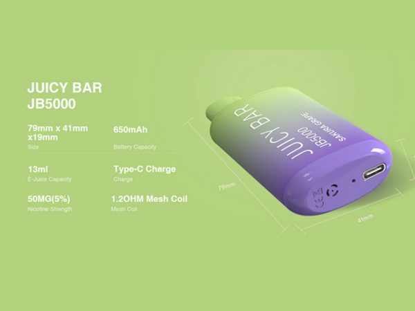 Juicy Bar JB5000 Disposable Vape
